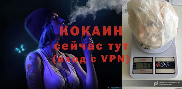 прущие грибы Богородск