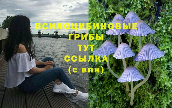 прущие грибы Богородск