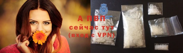 дживик Богданович