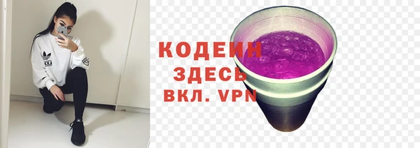 прущие грибы Богородск