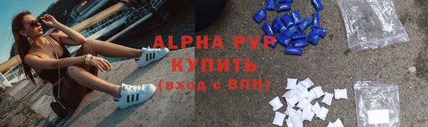 прущие грибы Богородск